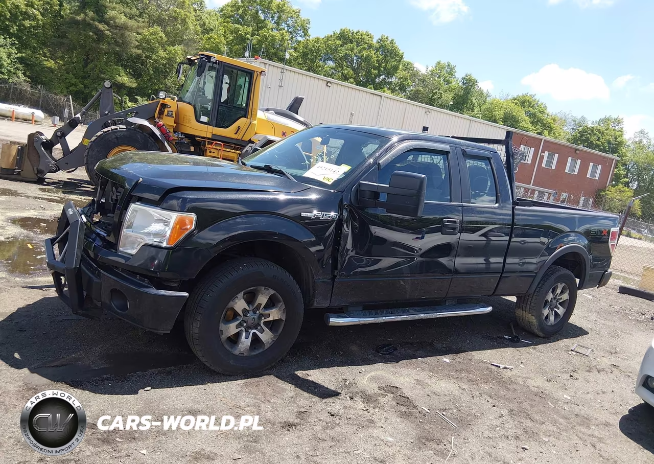 2013 Ford F-150 Stx VIN:1FTFX1EF5DFA07909 - 13
