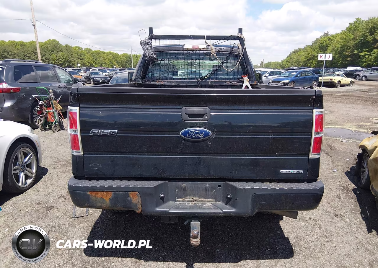 2013 Ford F-150 Stx VIN:1FTFX1EF5DFA07909 - 15