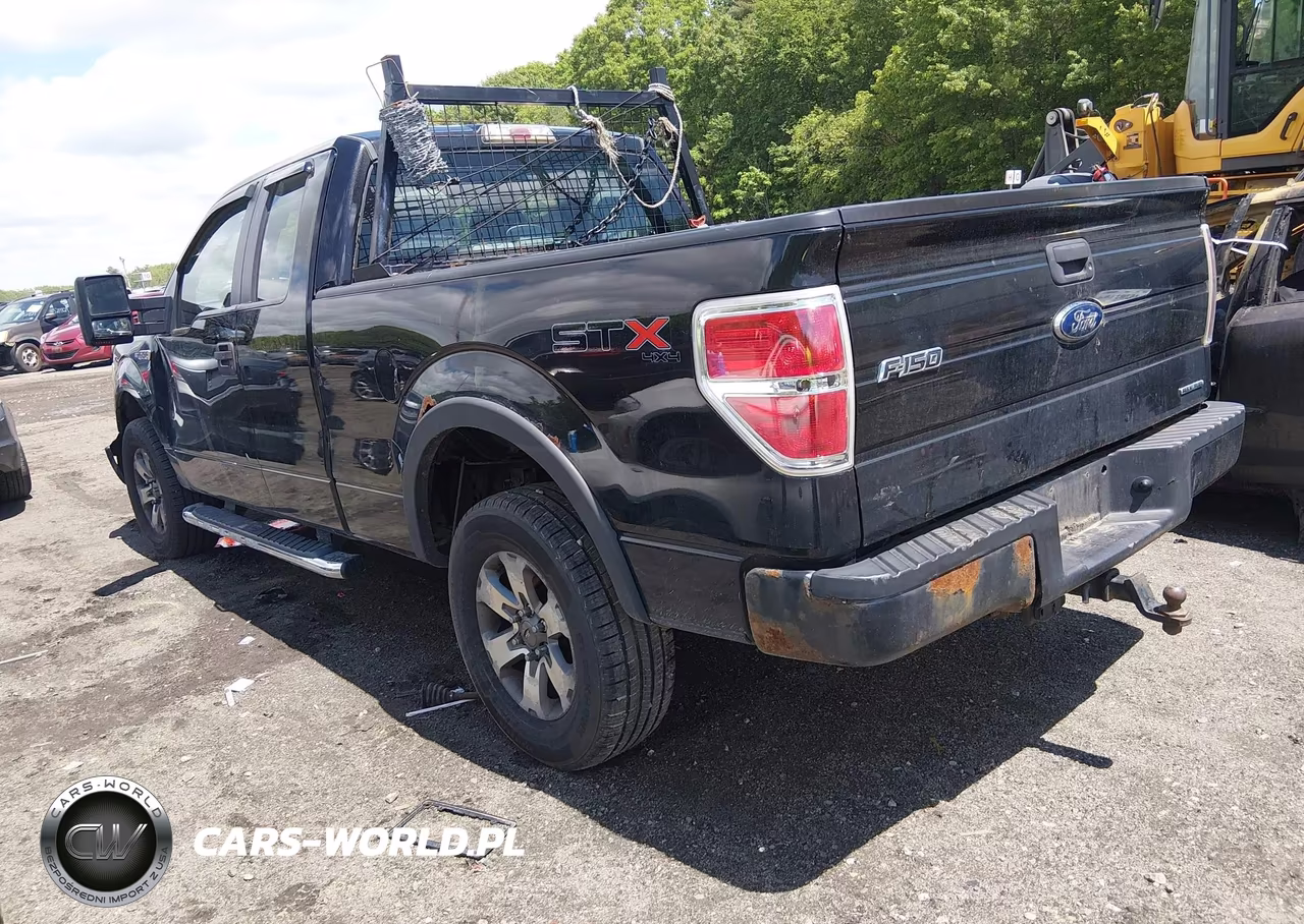 2013 Ford F-150 Stx VIN:1FTFX1EF5DFA07909 - 3