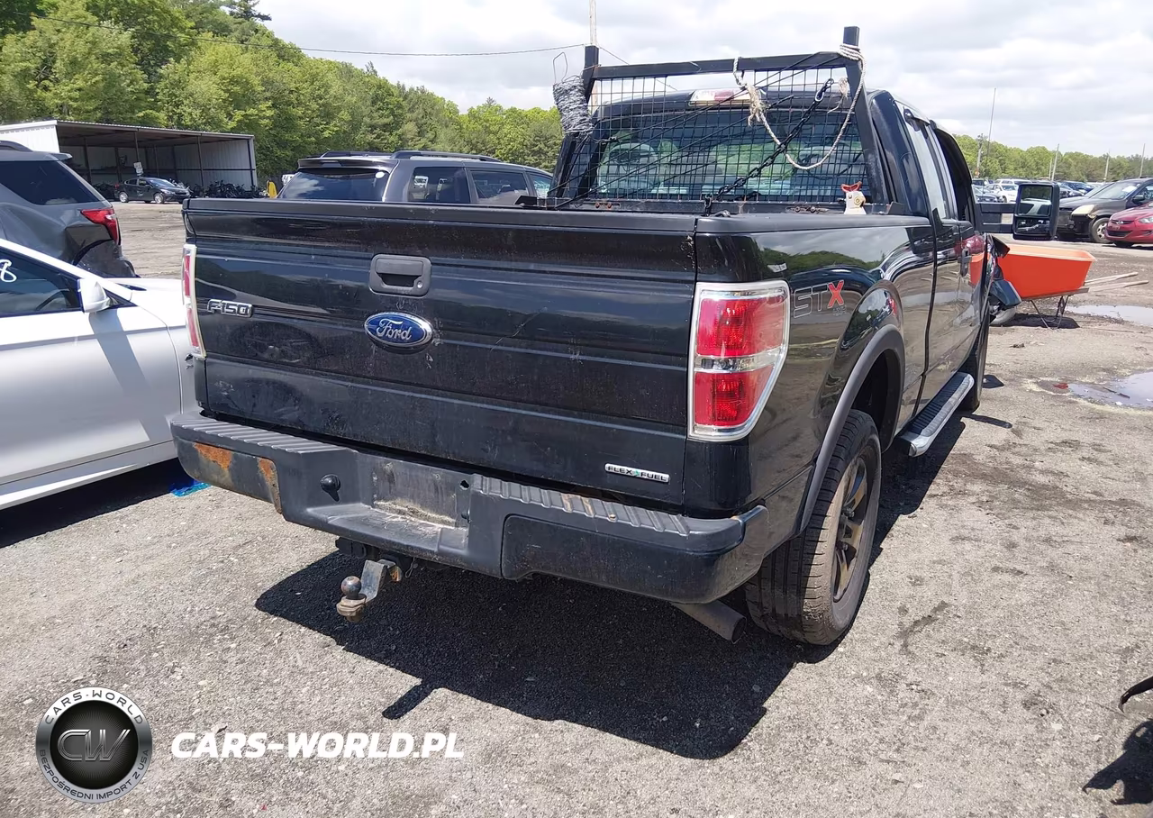 2013 Ford F-150 Stx VIN:1FTFX1EF5DFA07909 - 4