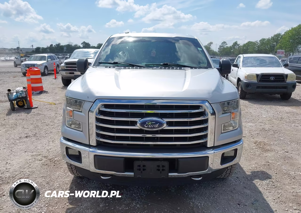 2015 Ford F-150 Xlt VIN:1FTEW1EP9FFB55488 - 12