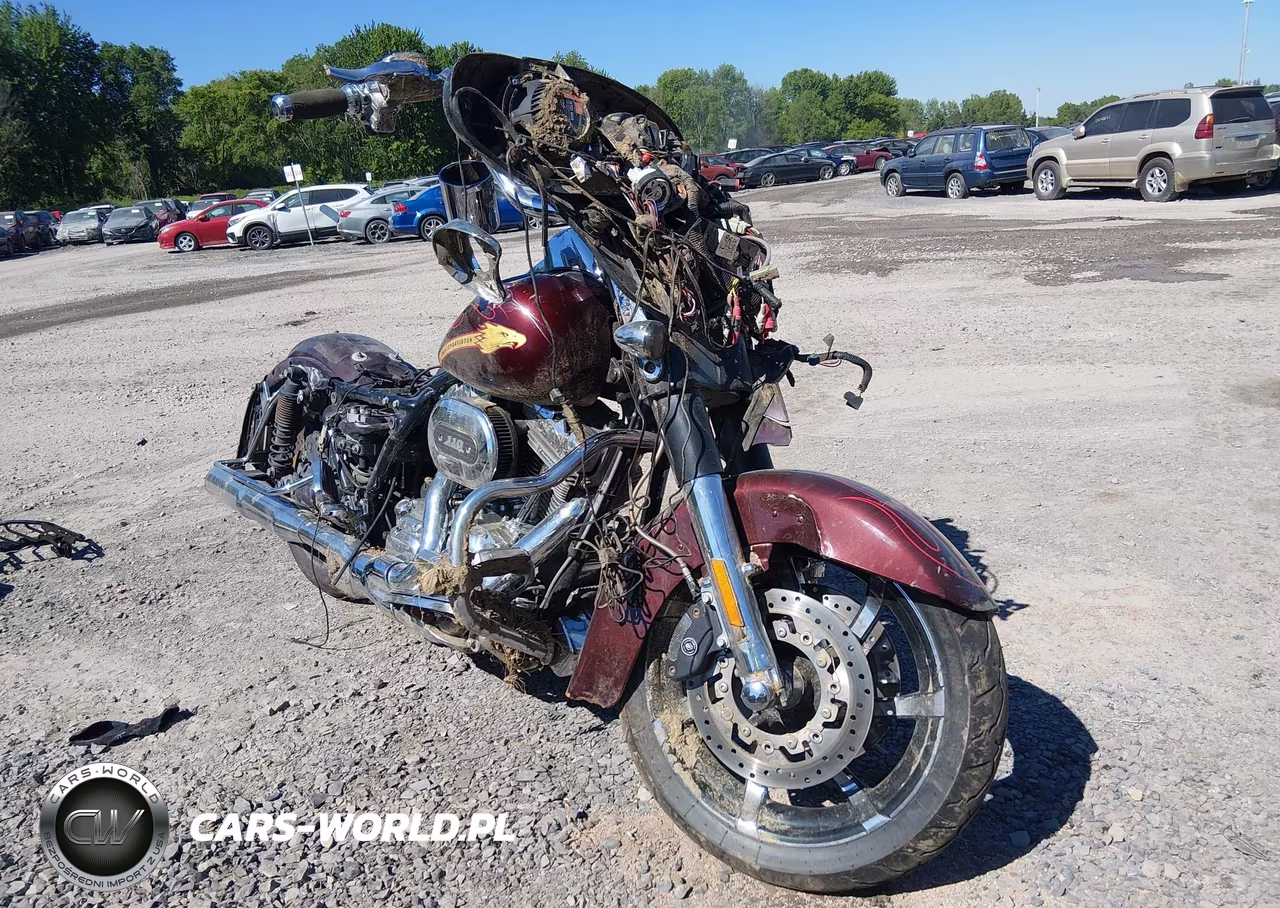 2010 Harley-Davidson Flhxse – zdjęcie 1 z 14