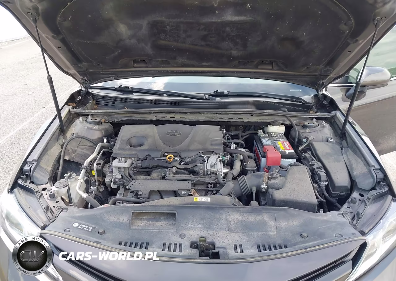 2018 Toyota Camry Le VIN:4T1B11HK3JU519485 - 10