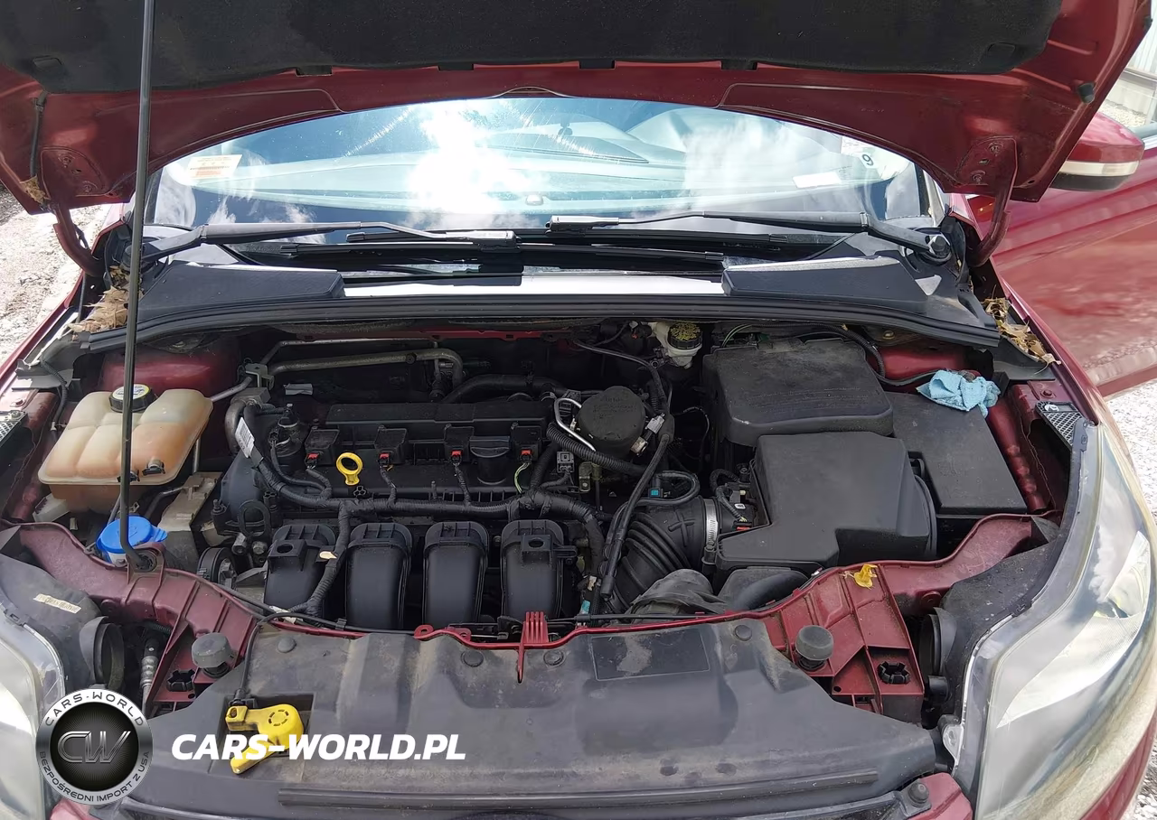 2013 Ford Focus Titanium VIN:1FADP3J25DL203538 - 10
