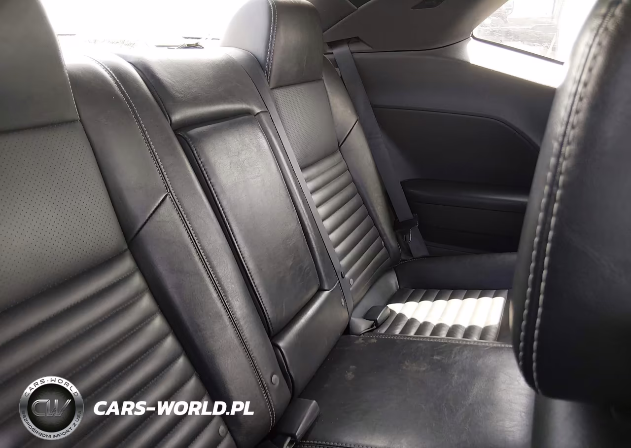 2009 Dodge Challenger R-T VIN:2B3LJ54T09H577066 - 8