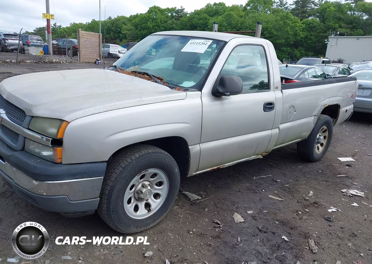2005 Chevrolet Silverado 1500 Work Truck VIN:1GCEK14X25Z346289 - 2