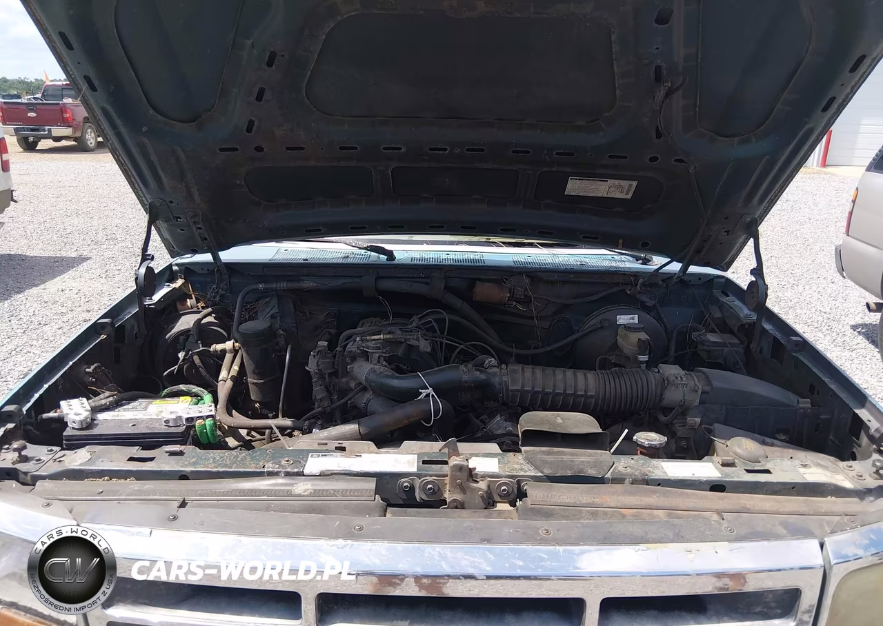 1994 Ford F150 VIN:1FTEX15N4RKA41213 - 10