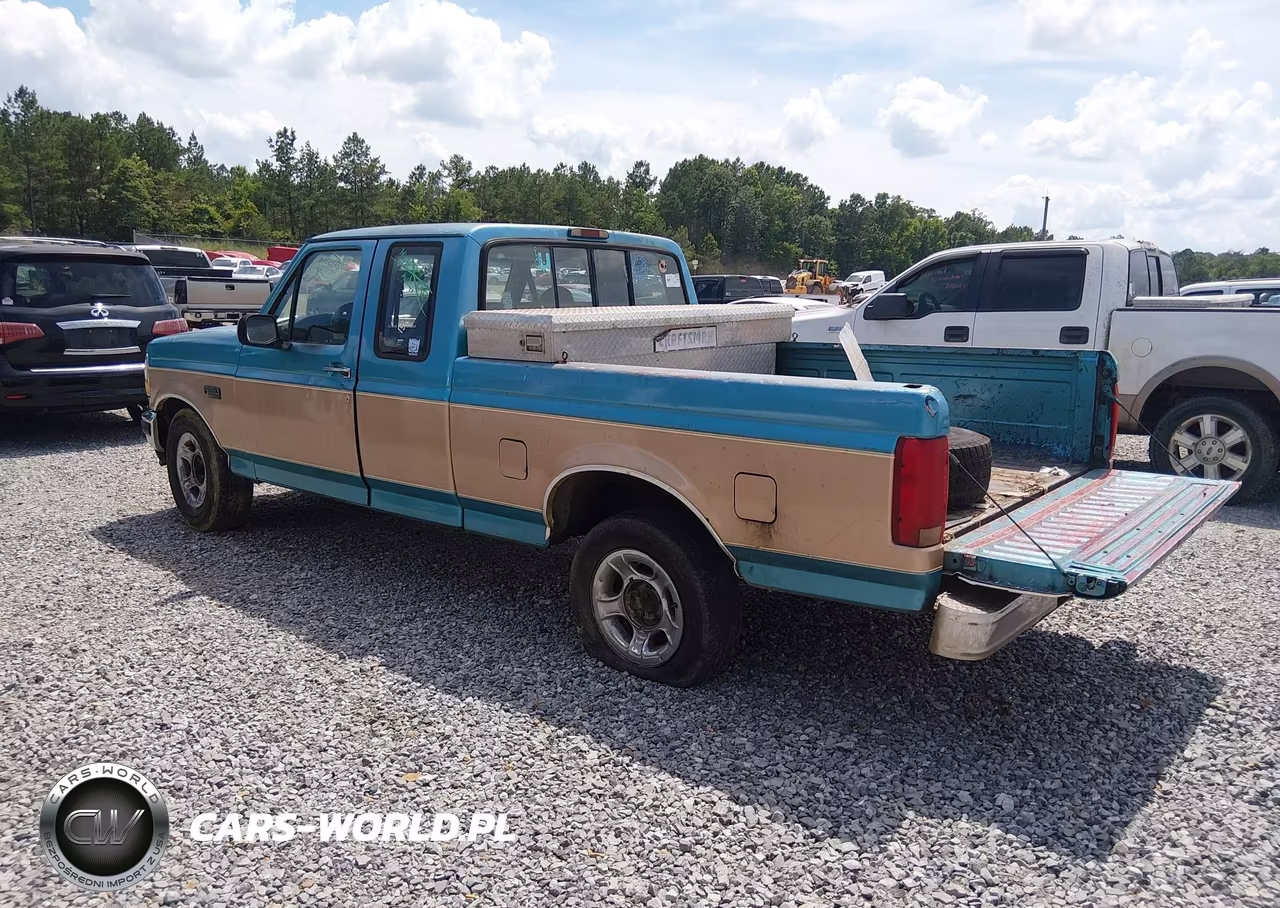1994 Ford F150 VIN:1FTEX15N4RKA41213 - 3