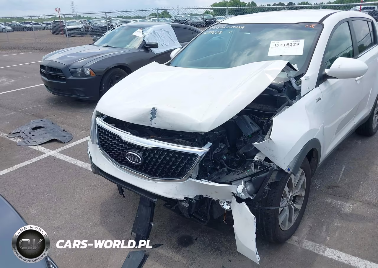 2015 Kia Sportage Lx VIN:KNDPB3AC5F7674602 - 12
