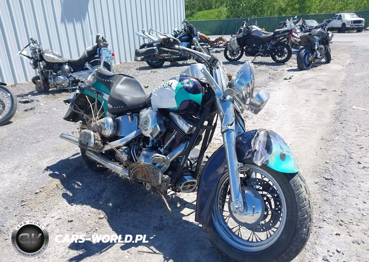 2002 Harley-Davidson Flstc