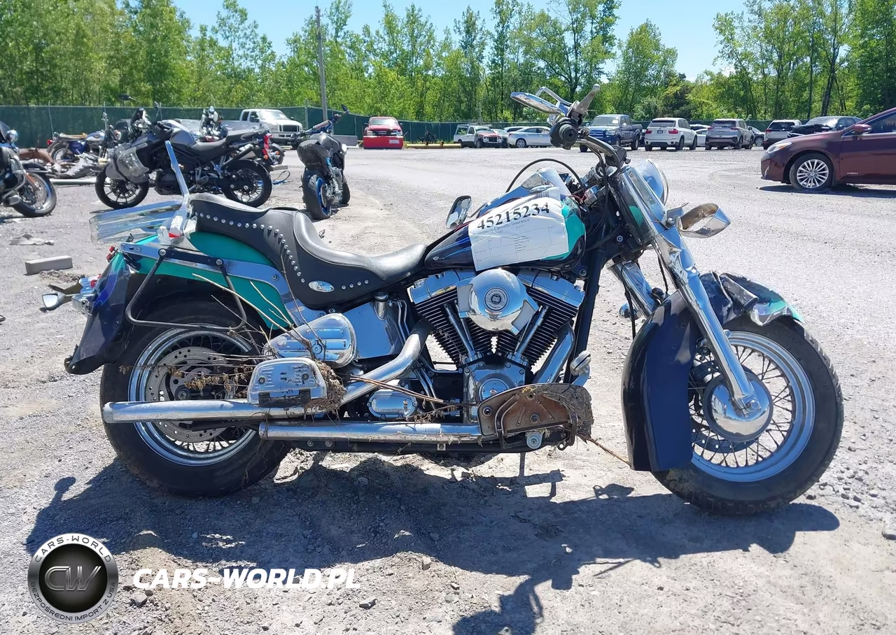 2002 Harley-Davidson Flstc VIN:1HD1BJY152Y020877 - 12