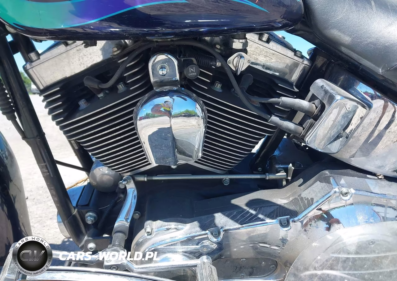 2002 Harley-Davidson Flstc VIN:1HD1BJY152Y020877 - 9