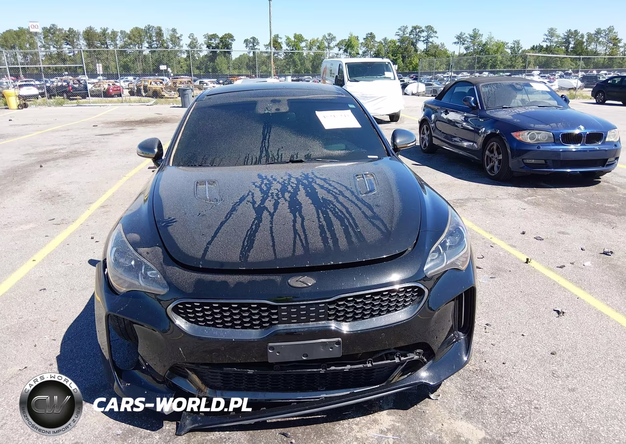 2018 Kia Stinger Gt2 VIN:KNAE55LC0J6015698 - 13