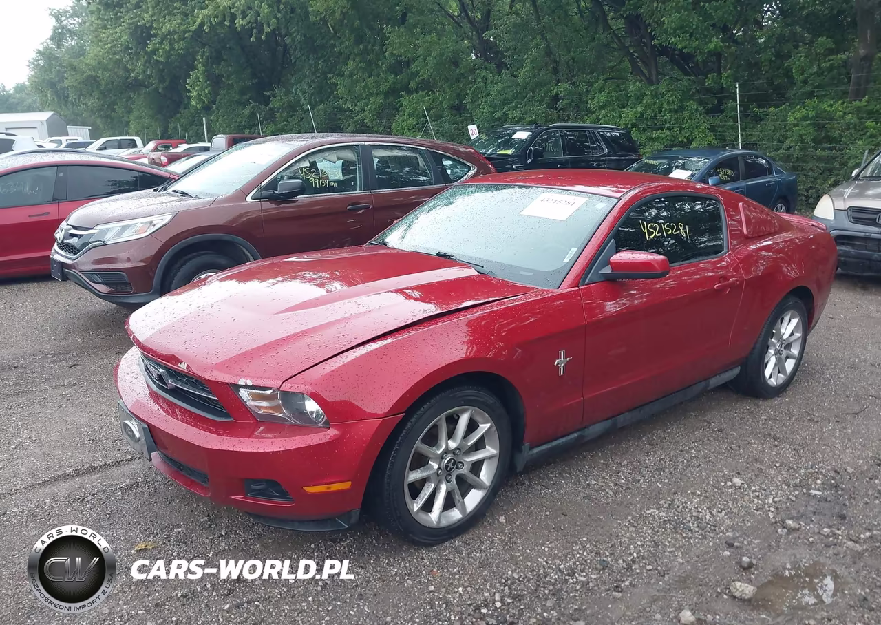 2010 Ford Mustang V6-V6 Premium VIN:1ZVBP8AN5A5176220 - 2