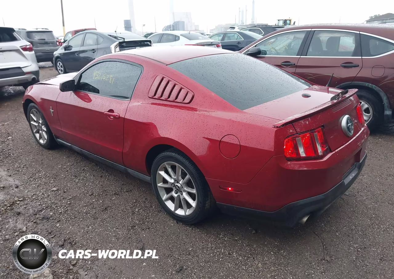 2010 Ford Mustang V6-V6 Premium VIN:1ZVBP8AN5A5176220 - 3