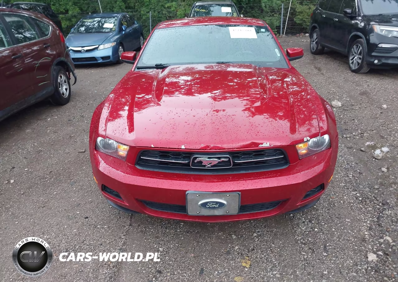 2010 Ford Mustang V6-V6 Premium VIN:1ZVBP8AN5A5176220 - 6