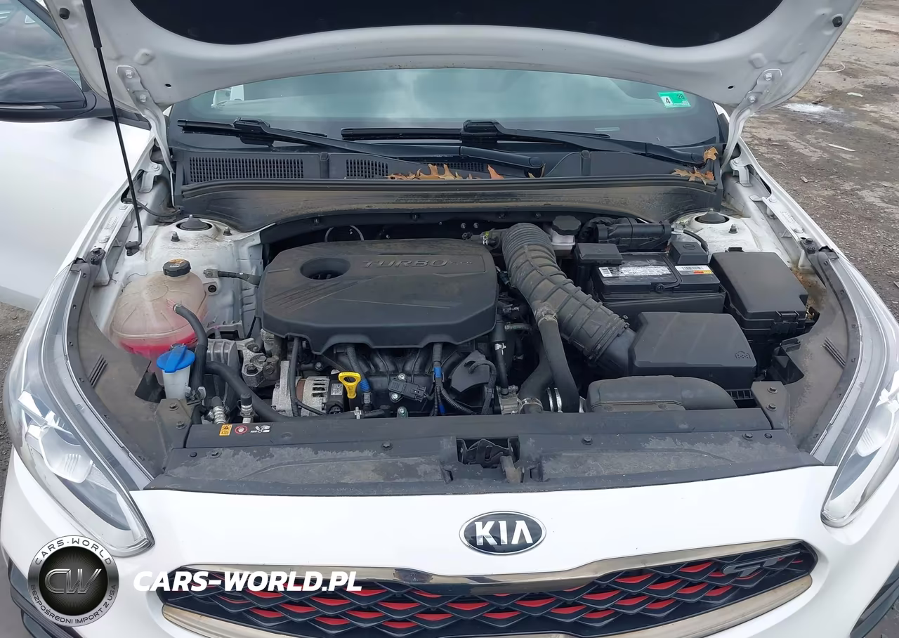 2021 Kia Forte Gt VIN:3KPF44AC1ME318656 - 10