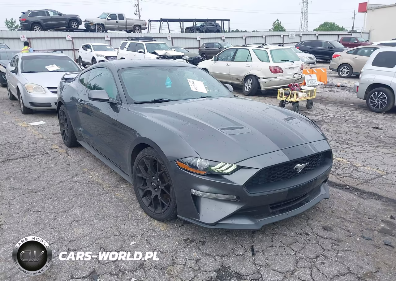 2019 Ford Mustang Ecoboost