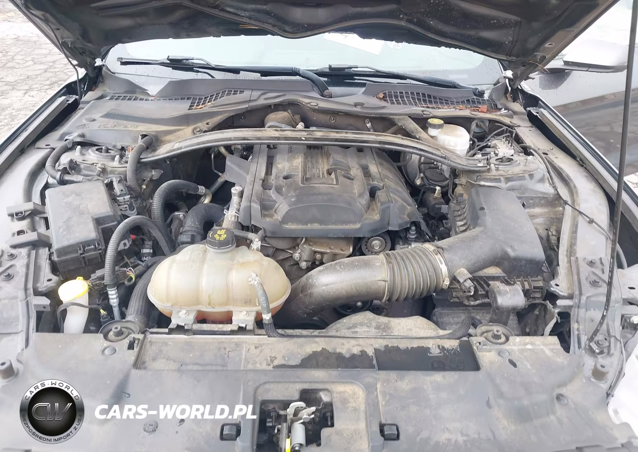 2019 Ford Mustang Ecoboost VIN:1FA6P8TH9K5111485 - 10