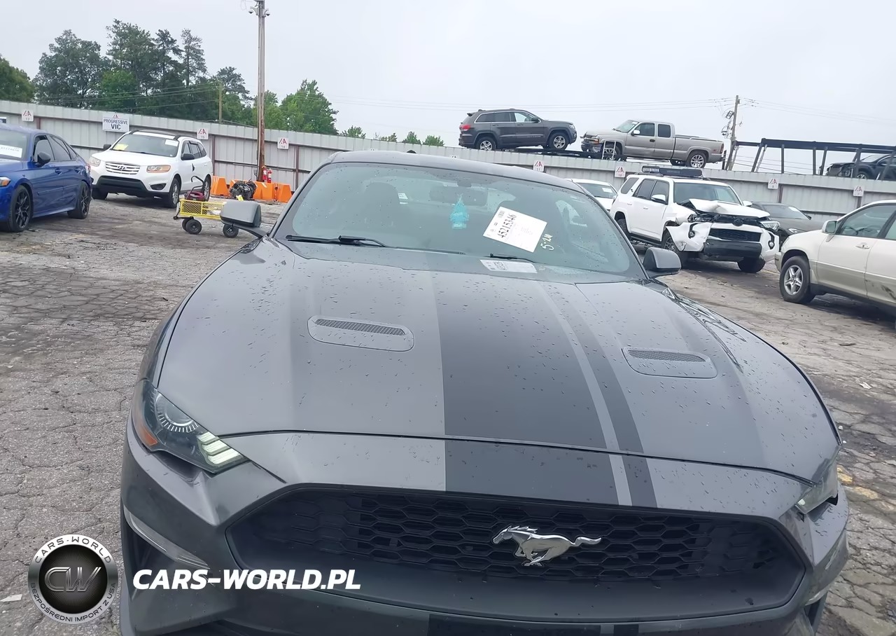 2019 Ford Mustang Ecoboost VIN:1FA6P8TH9K5111485 - 12
