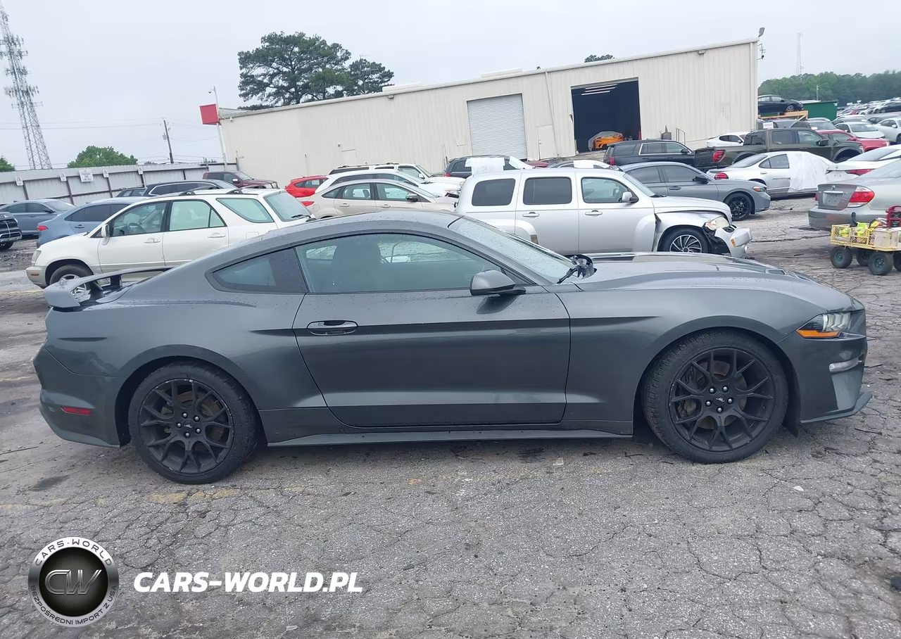 2019 Ford Mustang Ecoboost VIN:1FA6P8TH9K5111485 - 13