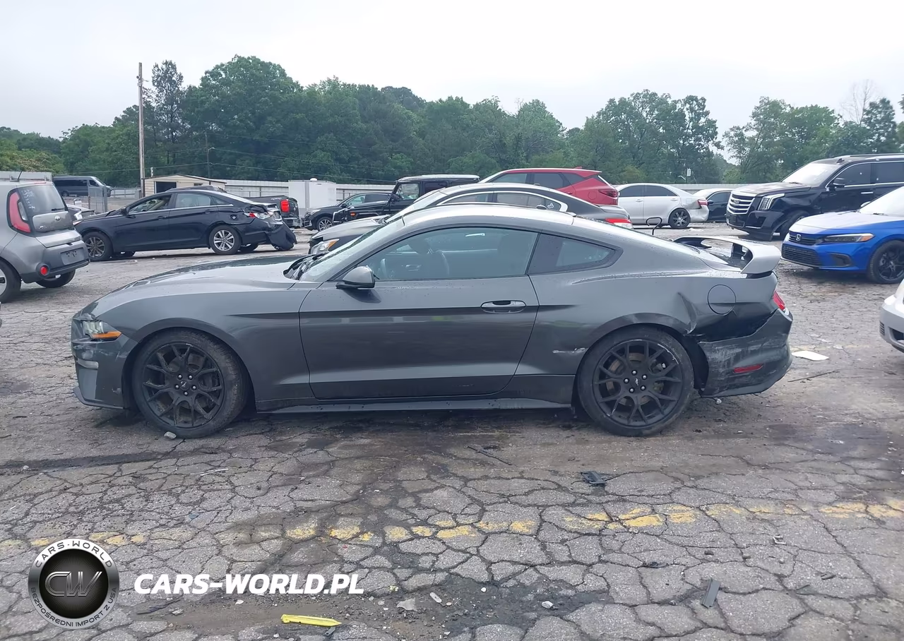 2019 Ford Mustang Ecoboost VIN:1FA6P8TH9K5111485 - 14