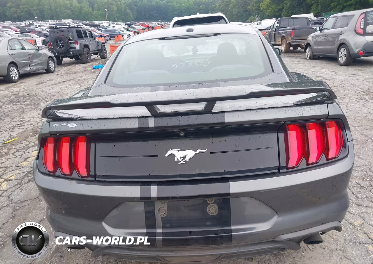 2019 Ford Mustang Ecoboost VIN:1FA6P8TH9K5111485 - 16