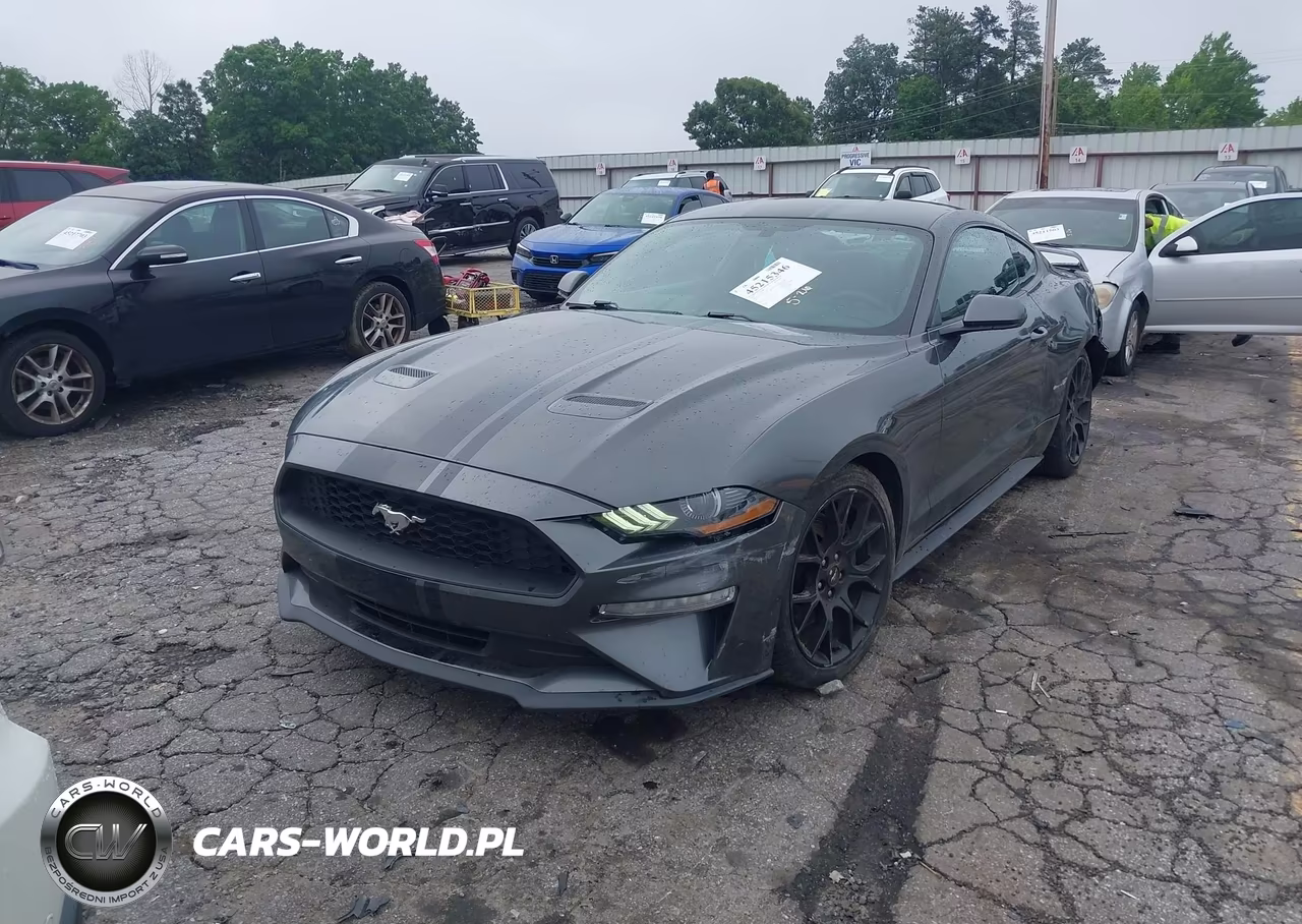 2019 Ford Mustang Ecoboost VIN:1FA6P8TH9K5111485 - 2