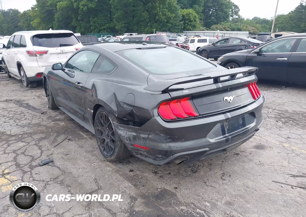 2019 Ford Mustang Ecoboost VIN:1FA6P8TH9K5111485 - 3