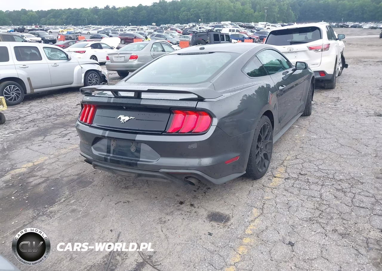2019 Ford Mustang Ecoboost VIN:1FA6P8TH9K5111485 - 4