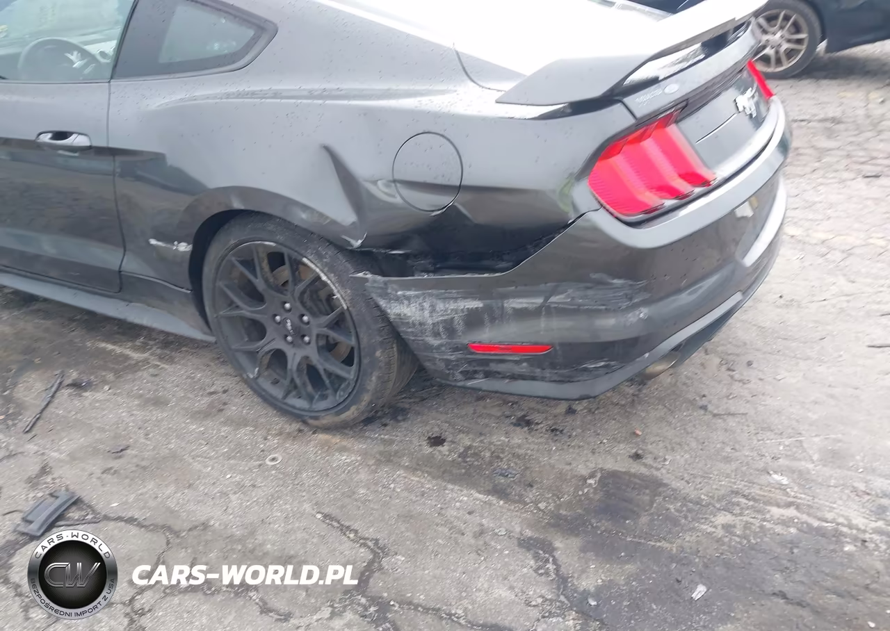 2019 Ford Mustang Ecoboost VIN:1FA6P8TH9K5111485 - 6