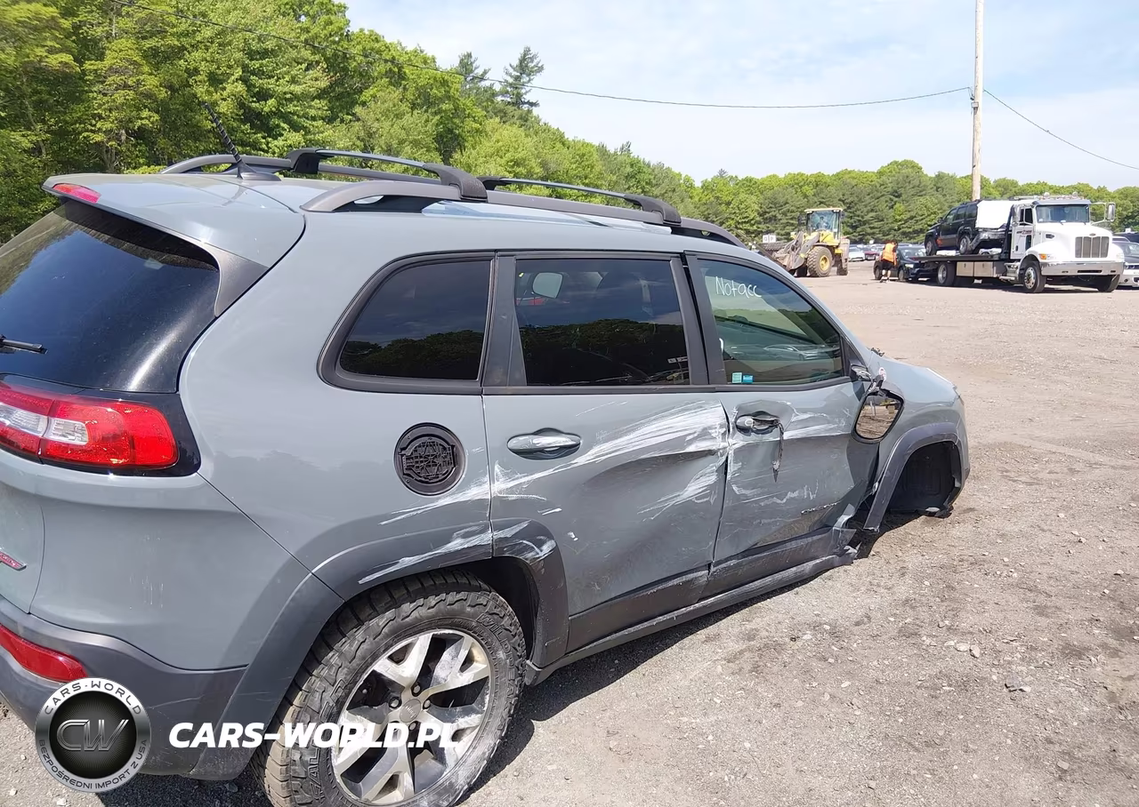 2014 Jeep Cherokee Trailhawk VIN:1C4PJMBS7EW134607 - 6