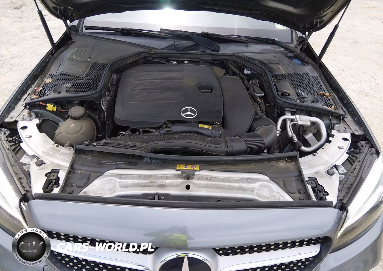 2019 Mercedes-Benz C 300 4Matic VIN:55SWF8EB2KU312681 - 10