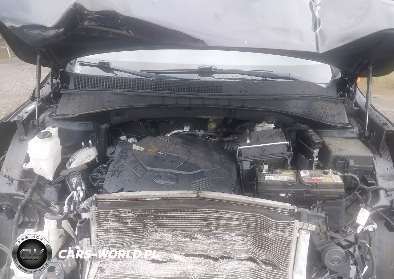 2019 Kia Sorento 3.3L Ex VIN:5XYPHDA51KG536980 - 10