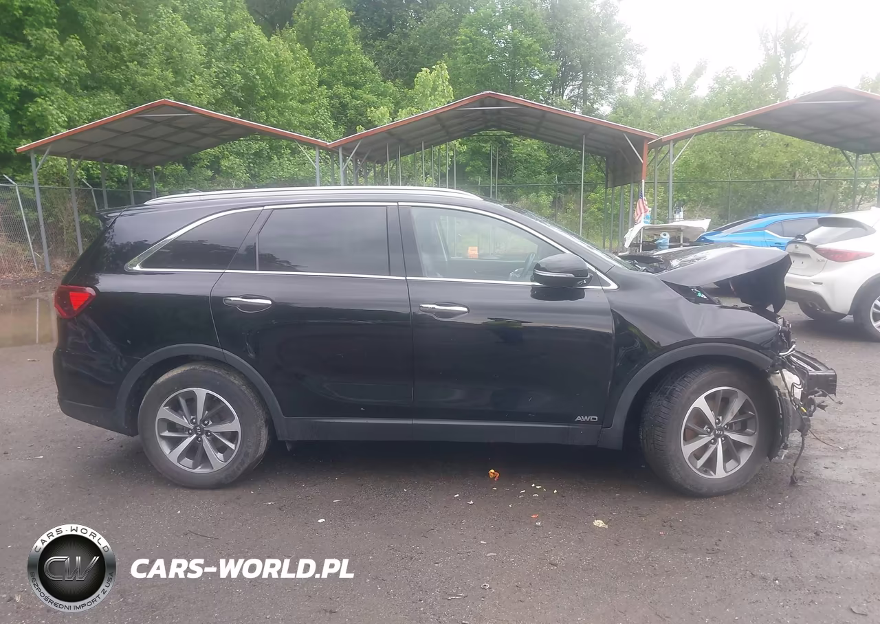 2019 Kia Sorento 3.3L Ex VIN:5XYPHDA51KG536980 - 13
