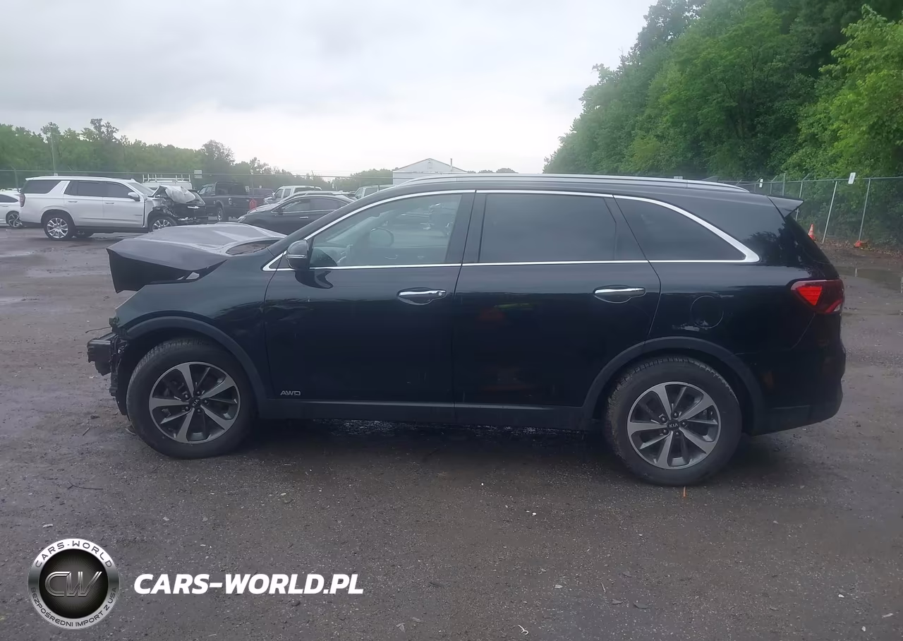 2019 Kia Sorento 3.3L Ex VIN:5XYPHDA51KG536980 - 14