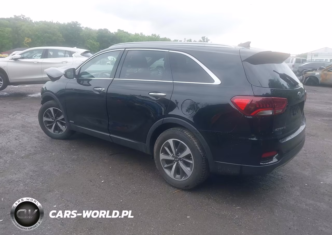 2019 Kia Sorento 3.3L Ex VIN:5XYPHDA51KG536980 - 3