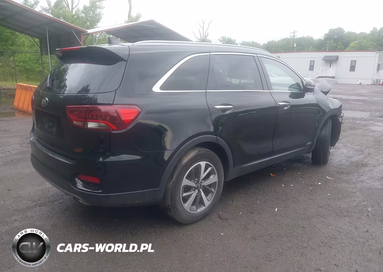 2019 Kia Sorento 3.3L Ex VIN:5XYPHDA51KG536980 - 4