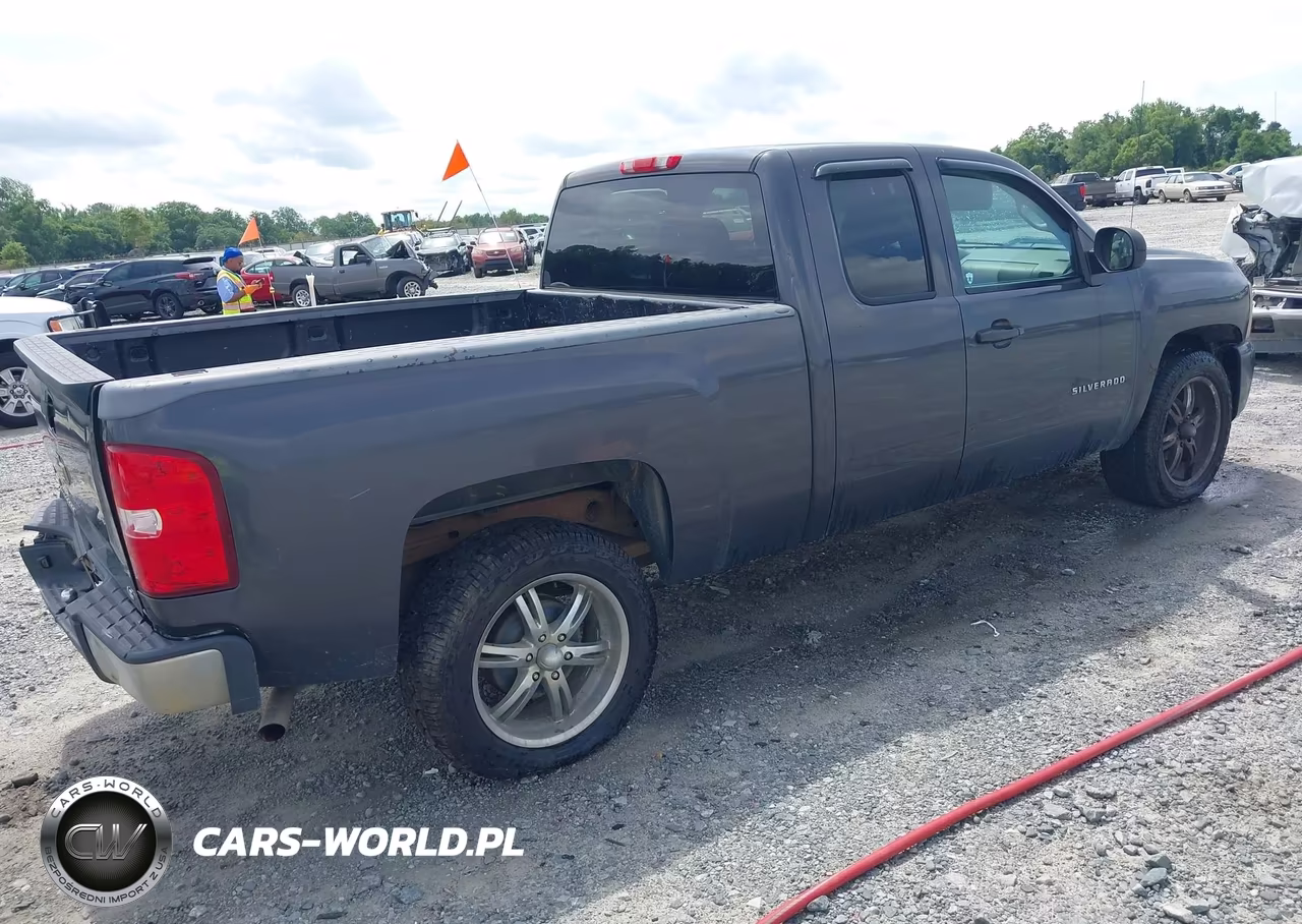 2010 Chevrolet Silverado 1500 Ls VIN:1GCSCREA1AZ113149 - 4