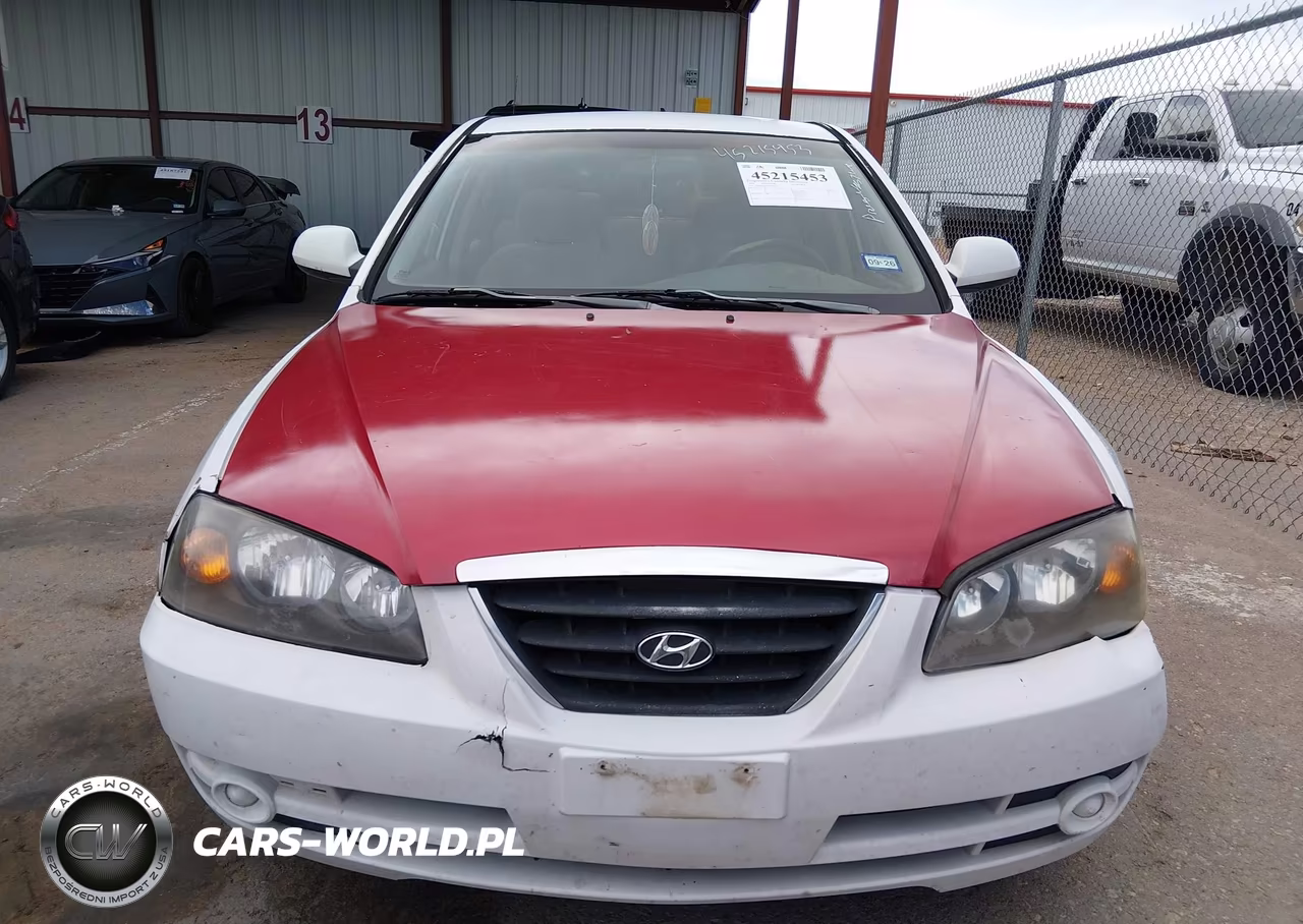 2004 Hyundai Elantra Gls-Gt VIN:KMHDN46D24U917617 - 12