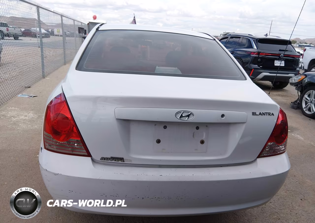 2004 Hyundai Elantra Gls-Gt VIN:KMHDN46D24U917617 - 16