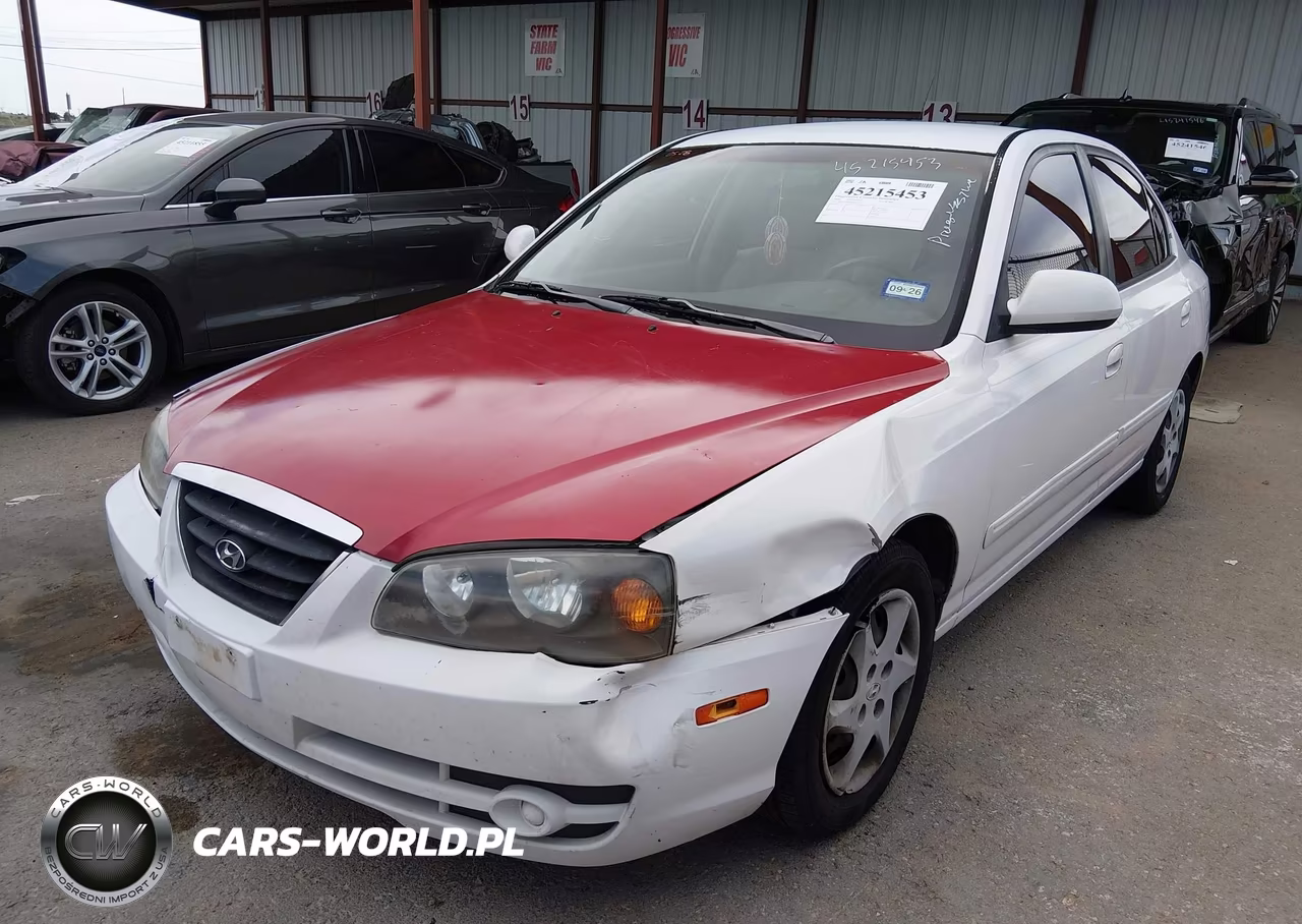 2004 Hyundai Elantra Gls-Gt VIN:KMHDN46D24U917617 - 2