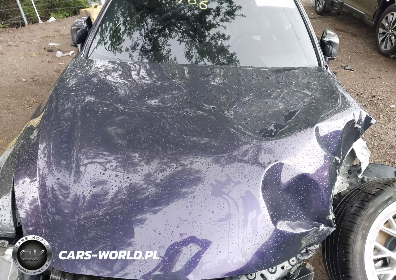 2019 Infiniti Q60 3.0T Luxe VIN:JN1EV7EK5KM231095 - 10