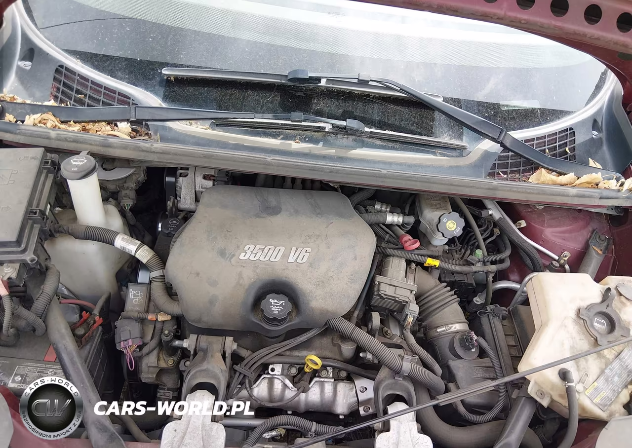 2005 Buick Terraza Cx VIN:5GADV23L45D268331 - 10