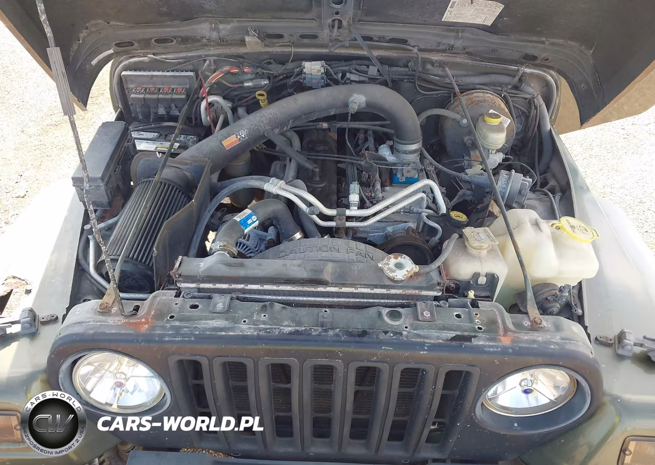 2006 Jeep Wrangler Unlimited VIN:1J4FA44S16P788209 - 10