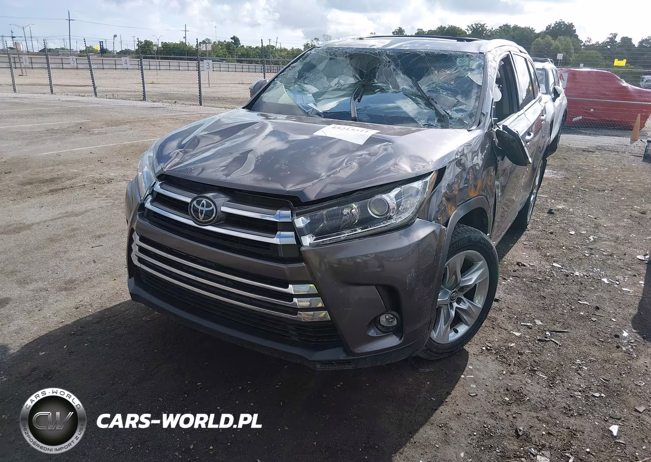 2019 Toyota Highlander Limited VIN:5TDYZRFH5KS306850 - 2