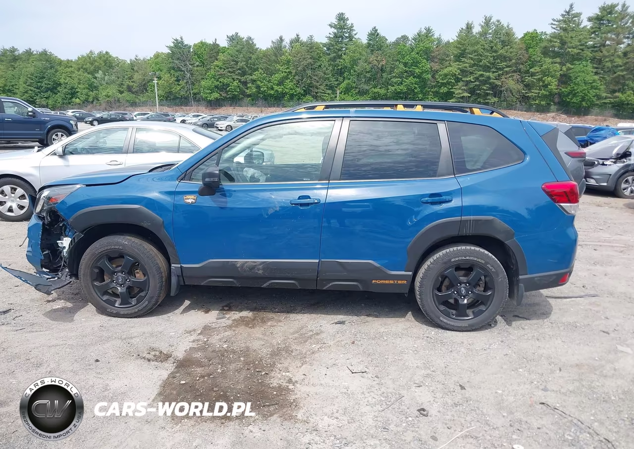2022 Subaru Forester Wilderness VIN:JF2SKAMC3NH402067 - 14