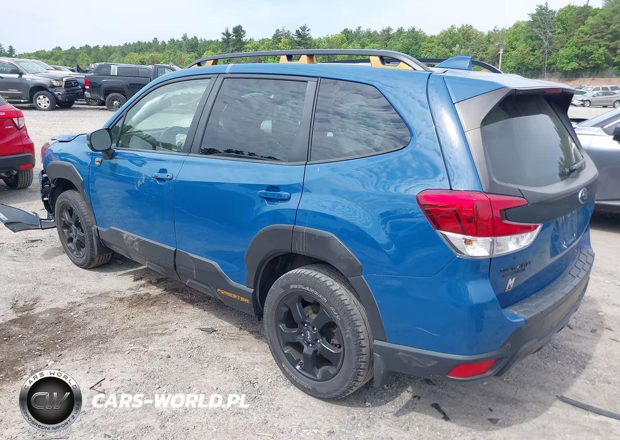 2022 Subaru Forester Wilderness VIN:JF2SKAMC3NH402067 - 3