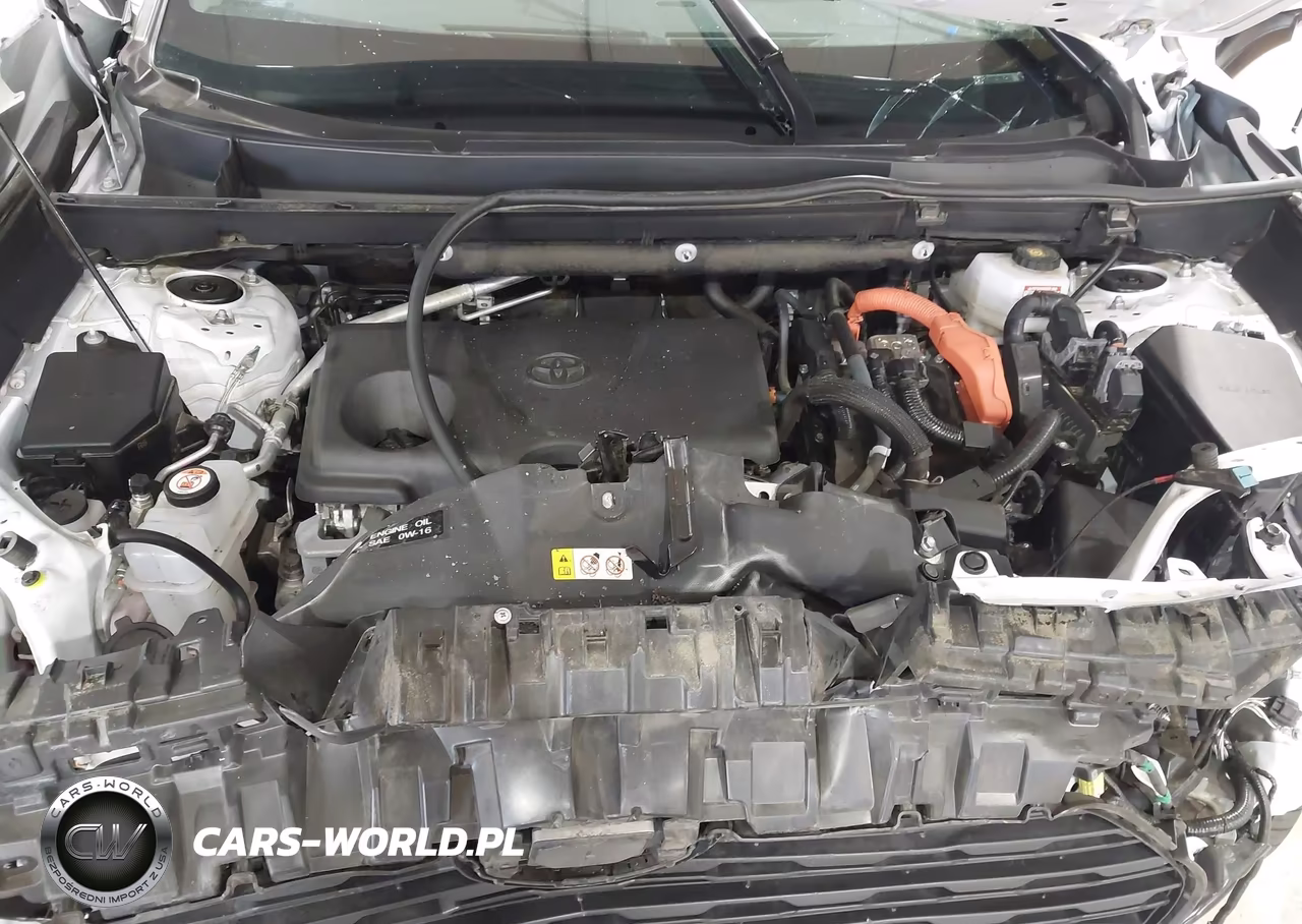 2025 Toyota Rav4 Hybrid Xle VIN:4T3RWRFV0SU173769 - 10