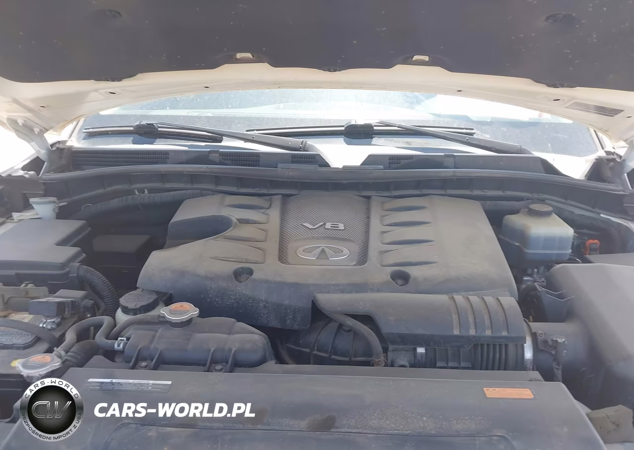 2014 Infiniti Qx80 VIN:JN8AZ2NC3E9351002 - 10